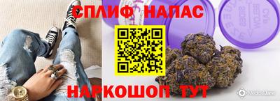 мдпв Гай