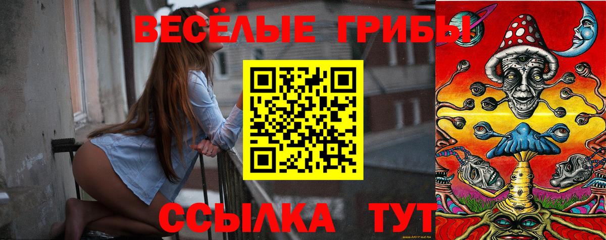 купить  цена  Вход с VPN  Санкт-Петербург  Псилоцибиновые грибы Psilocybe 