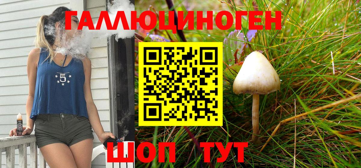Псилоцибиновые грибы мицелий Санкт-Петербург